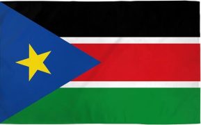 51diGsA4N5L._AC_UF894,1000_QL80_